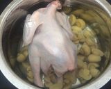 Foto langkah ke 5 dari resep Sup Ayam Kukus "Hong Ke".