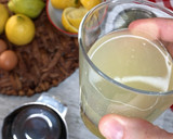 Foto del paso 3 de la receta: Sorbete de limón