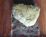 Une image de l'étape 4 de Filet de Boeuf Wellington.