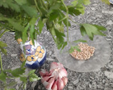 Foto del paso 3 de la receta: Croquetas de bacalao caseras