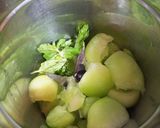 A picture of step 1 of Muskmelon mocktail.