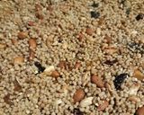 Foto del paso 6 de la receta: Granola casera (vegana)