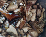 Foto del paso 3 de la receta: Crema de boletus