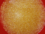 Polenta al microondas con Tuco de no pollo