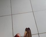 Foto langkah ke 4 dari resep Butter Cookies.