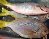 Foto langkah ke 1 dari resep Ikan ekor kuning bumbu kuning.