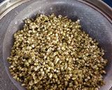 मोड आलेल्या मुगाची झडपट सुक्की भाजी (Sprouted Mugachi Sukki Bhaji Recipe In Marathi) रेसिपी स्टेप 1 फोटो 