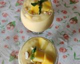A picture of step 5 of Mango dryfruits smoothie.