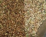 मसाला नमक सत्तु वाला (Masala namak sattu wala recipe in hindi) रेसिपी चरण 1 फोटो