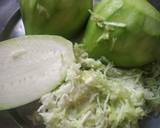 Round gourd kofta recipe step 1 photo