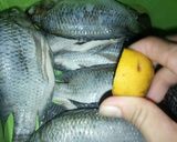 Foto langkah ke 3 dari resep Ikan Nila Goreng Pala Jinten.