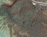 Foto langkah ke 3 dari resep Bolu Ketan Coklat Keju Lumer.
