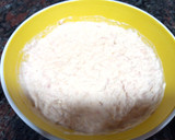 Foto del paso 3 de la receta: Dip de atún y mahonesa