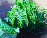 Hình bước làm 1 của món Su su xào lá lốt