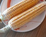 A picture of step 1 of Corn Kernel Chat.