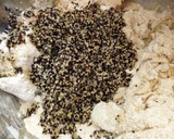 Foto del paso 4 de la receta: Pan integral con quinoa