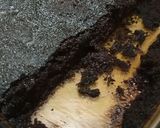 A picture of step 7 of 3 mint microwave Brownie.