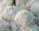Foto langkah ke 4 dari resep Klepon lembut.