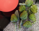 Foto del paso 1 de la receta: Salteado de alcachofas y calabacín