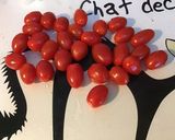 Une image de l'étape 11 de Macaronis au gorgonzola,bacon et tomates cerises façon one pot pasta.