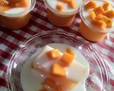 Foto langkah ke 5 dari resep Puding mangga vla santan.