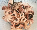 Foto del paso 1 de la receta: Pulpitos al ajillo con alubias blancas