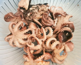 Foto del paso 1 de la receta: Pulpitos al ajillo con alubias blancas