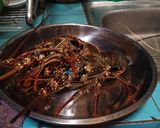 Foto langkah ke 1 dari resep Lobster saus padang Mei.