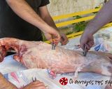 A picture of step 4 of Lamb on the spit.
