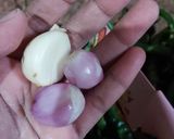 Foto langkah ke 1 dari resep Oseng tahu cabai ijo.