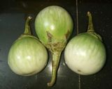 Hình bước làm 2 của món Tôm Cà Ri Xanh Kiểu Thái