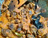 Foto langkah ke 3 dari resep 1.007. Daging Sapi ala Bumbu Bali.