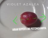 Foto langkah ke 8 dari resep MPASI Cara Memberikan Buah Anggur Pada Bayi.