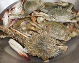 Foto langkah ke 1 dari resep Kepiting rajungan rebus.