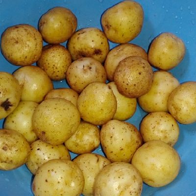 Langkah 1