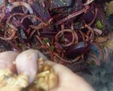 Foto del paso 26 de la receta: Ensalada de Remolachas Asadas
