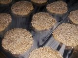 Galletas de mantequilla con sésamo