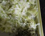Handvo Mix dal Handvo recipe step 2 photo