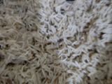 Singaporean rice