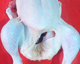 Foto del paso 11 de la receta: Pollo relleno de frutas pasas a la imperial al horno