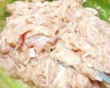 Foto langkah ke 2 dari resep Wonton / Pangsit Ayam.