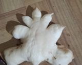 Foto langkah ke 9 dari resep Basic White Bread (Dairy Free).