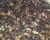 Foto del paso 2 de la receta: Chocolate orgánico