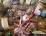 Foto del paso 11 de la receta Paella de marisco para principiantes
