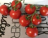 Une image de l'étape 1 de Salade de tomates à la mozzarella, basilic et fleurs de ciboulette.