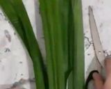 Foto langkah ke 1 dari resep Takir Daun Pandan.