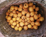 Foto del paso 1 de la receta: Compota de nísperos de la huerta