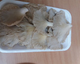 Foto del paso 4 de la receta: Pollo con setas al whisky