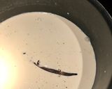 Une image de l'étape 1 de Crème brûlée à la vanille.