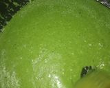 A picture of step 23 of Stuffed Paneer with veggies Kofta in Creamy Spinach Gravy.